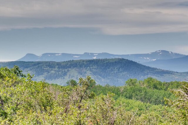 27185 Sundance Trl, Steamboat Springs, CO 80487 - photo 19