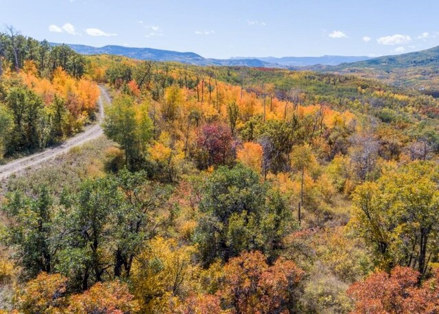 27185 Sundance Trl, Steamboat Springs, CO 80487 - photo 5