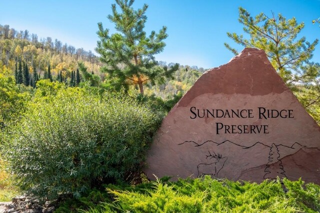 27185 Sundance Trl, Steamboat Springs, CO 80487 - photo 3