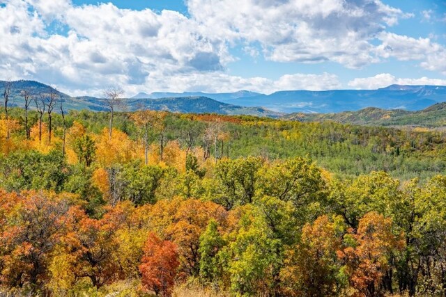27185 Sundance Trl, Steamboat Springs, CO 80487 - photo 11