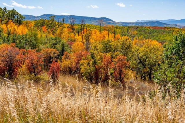 27185 Sundance Trl, Steamboat Springs, CO 80487 - photo 12