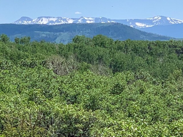 27185 Sundance Trl, Steamboat Springs, CO 80487 - photo 17