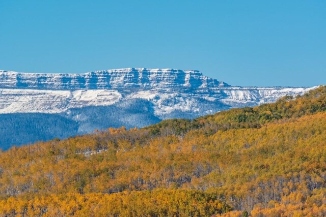 27185 Sundance Trl, Steamboat Springs, CO 80487 - photo 15