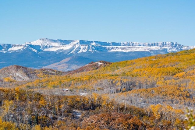27185 Sundance Trl, Steamboat Springs, CO 80487 - photo 10