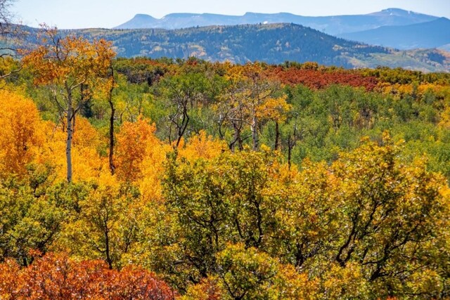 27185 Sundance Trl, Steamboat Springs, CO 80487 - photo 13