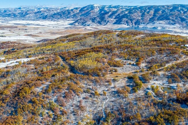 27185 Sundance Trl, Steamboat Springs, CO 80487 - photo 9