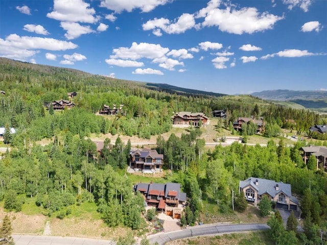240 Two Cabins Dr, Silverthorne, CO 80498 - aerial view of a forest