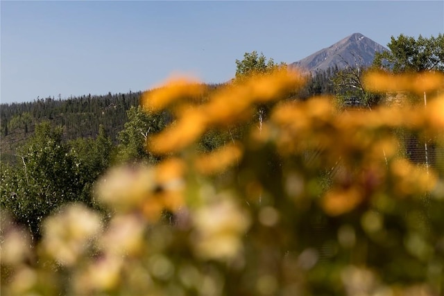 240 Two Cabins Dr, Silverthorne, CO 80498 - mountain view