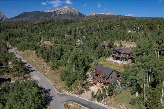 240 Two Cabins Dr, Silverthorne, CO 80498 - view of property location with a forest and a mountainous background