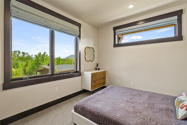 18 Lena Way, Silverthorne, CO 80498 - carpeted bedroom with multiple windows, recessed lighting, and baseboards