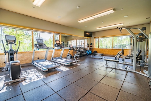18 Lena Way, Silverthorne, CO 80498 - view of exercise room
