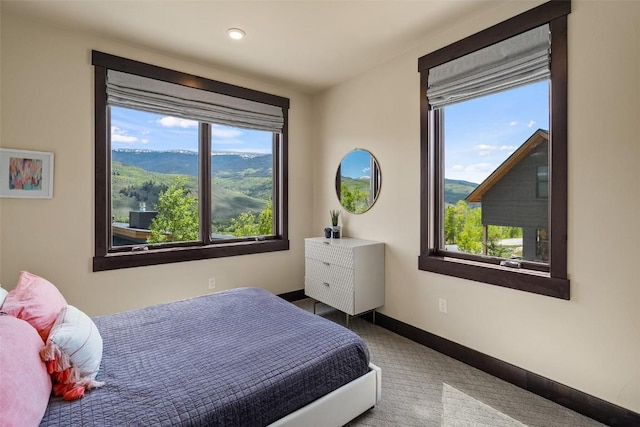 18 Lena Way, Silverthorne, CO 80498 - carpeted bedroom featuring baseboards and recessed lighting