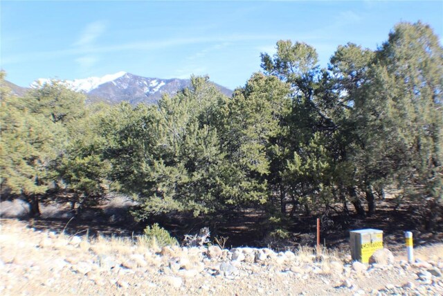 2698-2702 Holiday Co Way, Crestone, CO 81131
