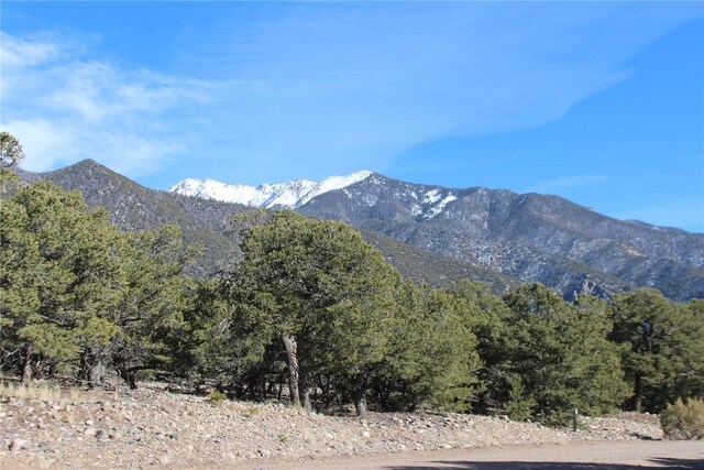 2698-2702 Holiday Co Way, Crestone, CO 81131