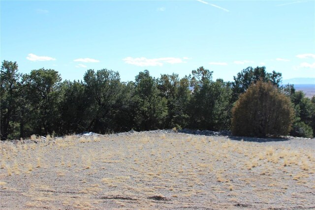2698-2702 Holiday Co Way, Crestone, CO 81131