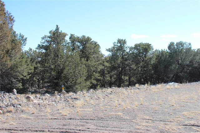 2698-2702 Holiday Co Way, Crestone, CO 81131