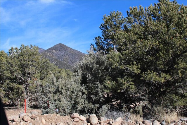 2698-2702 Holiday Co Way, Crestone, CO 81131