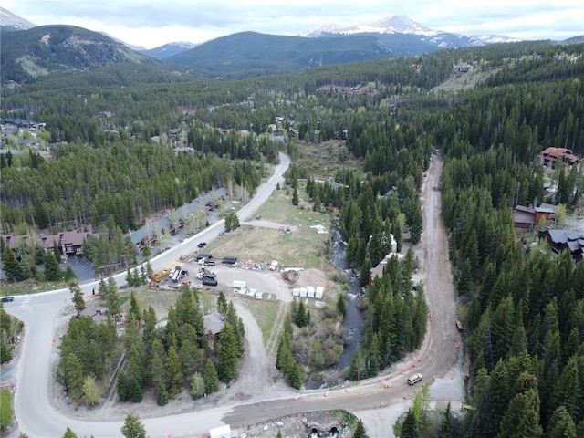 805 Columbine Rd Unit 105, Breckenridge, CO 80424 - photo 30