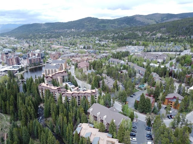 805 Columbine Rd Unit 105, Breckenridge, CO 80424 - photo 33