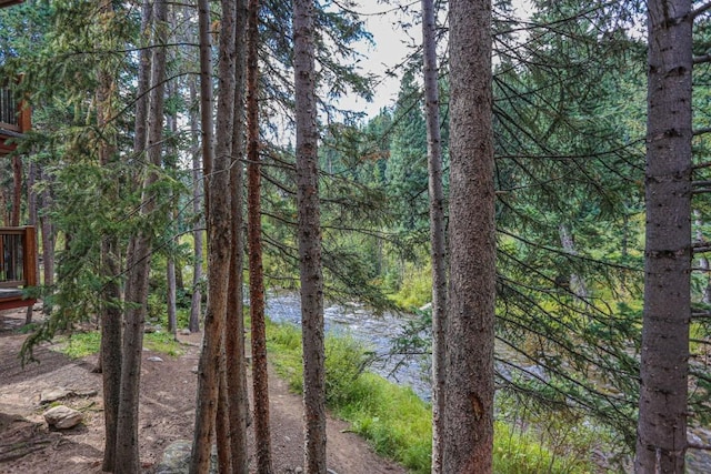 805 Columbine Rd Unit 105, Breckenridge, CO 80424 - photo 28