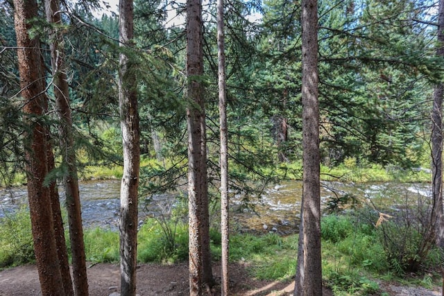 805 Columbine Rd Unit 105, Breckenridge, CO 80424 - water view featuring a wooded view