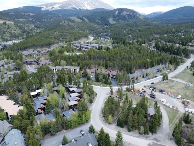 805 Columbine Rd Unit 105, Breckenridge, CO 80424 - photo 31