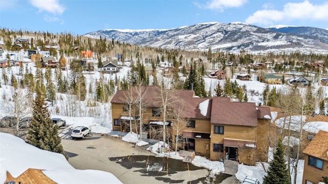 6726 Ryan Gulch Rd Unit 6726, Silverthorne, CO 80498