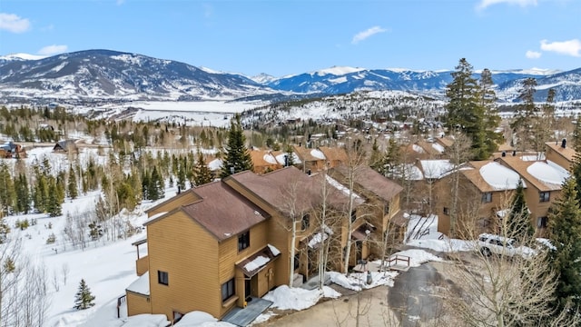 6726 Ryan Gulch Rd Unit 6726, Silverthorne, CO 80498
