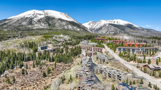 81 Cydney Ln Unit 81A, Silverthorne, CO 80498 - view of mountain background