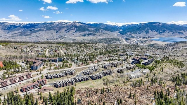 81 Cydney Ln Unit 81A, Silverthorne, CO 80498 - view of mountain backdrop with a large body of water