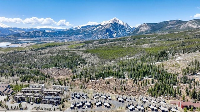 81 Cydney Ln Unit 81A, Silverthorne, CO 80498 - view of mountain background