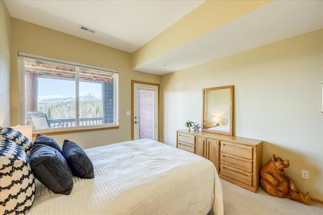 81 Cydney Ln Unit 81A, Silverthorne, CO 80498 - bedroom with carpet floors