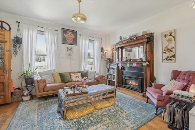 114 N French St, Breckenridge, CO 80424 - living room featuring wood finished floors and a glass covered fireplace