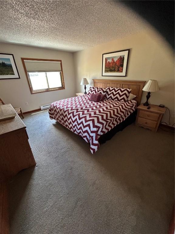 317 La Bonte St Unit 107, Dillon, CO 80435 - bedroom featuring carpet floors and a textured ceiling