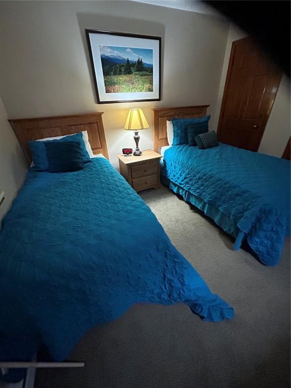 317 La Bonte St Unit 107, Dillon, CO 80435 - view of carpeted bedroom