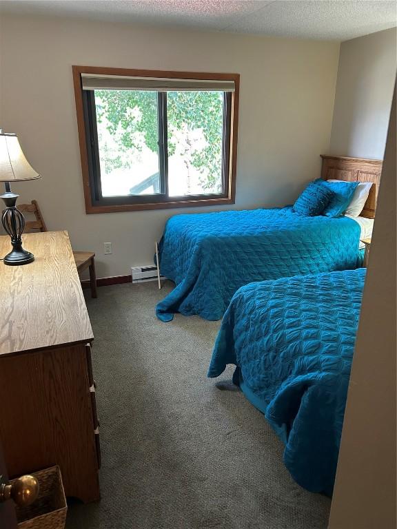 317 La Bonte St Unit 107, Dillon, CO 80435 - carpeted bedroom with a baseboard radiator and baseboards