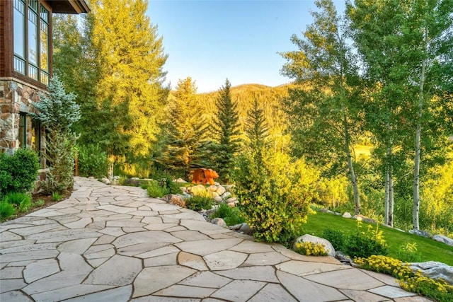 33800 Catamount Dr, Steamboat Springs, CO 80487 - view of patio / terrace with a view of trees
