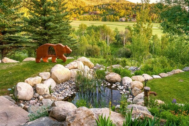 33800 Catamount Dr, Steamboat Springs, CO 80487 - view of grassy yard