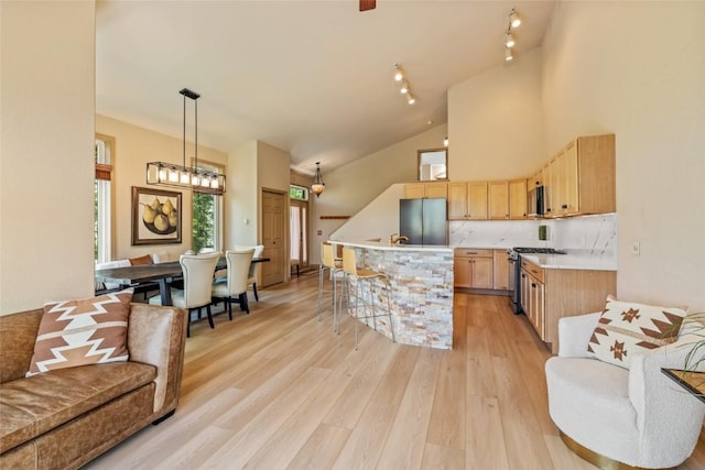 620 Parkview Dr Unit 61, Steamboat Springs, CO 80487 - kitchen featuring appliances with stainless steel finishes, light brown cabinetry, light countertops, light wood-style flooring, and pendant lighting