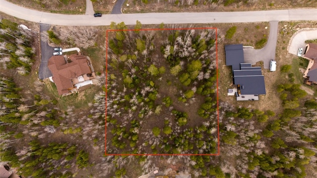 194 Solomons Ln, Silverthorne, CO 80498