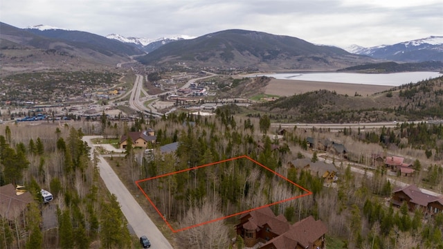 194 Solomons Ln, Silverthorne, CO 80498