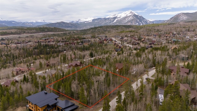 194 Solomons Ln, Silverthorne, CO 80498