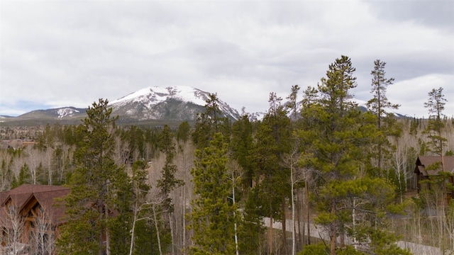 194 Solomons Ln, Silverthorne, CO 80498