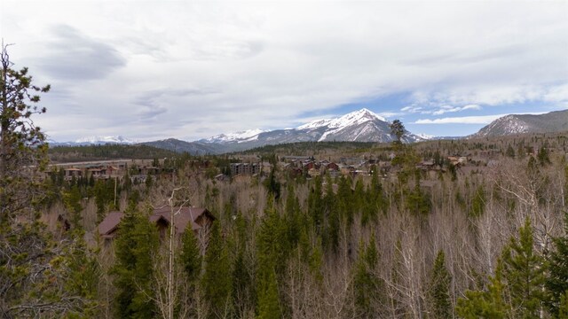 194 Solomons Ln, Silverthorne, CO 80498