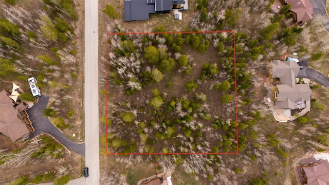 194 Solomons Ln, Silverthorne, CO 80498
