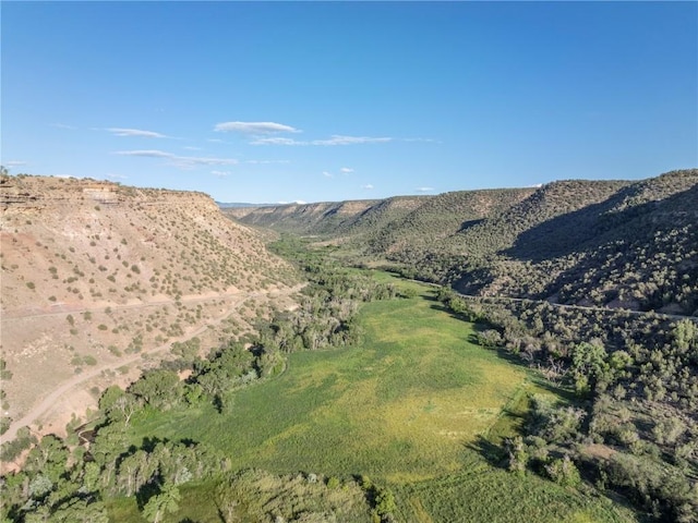 34074 Fruitland Mesa Rd, Crawford, CO 81415 - mountain view