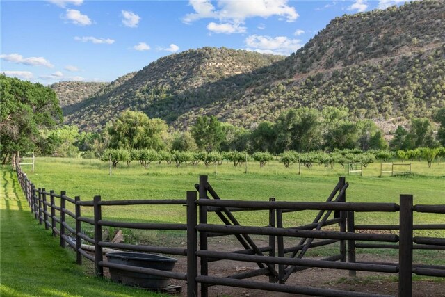 34074 Fruitland Mesa Rd, Crawford, CO 81415 - photo 31
