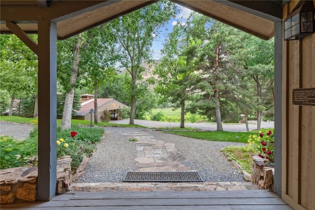 34074 Fruitland Mesa Rd, Crawford, CO 81415 - view of yard