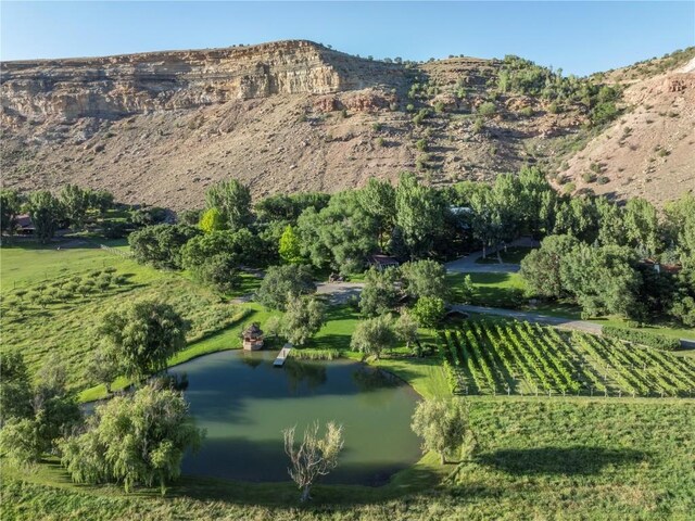 34074 Fruitland Mesa Rd, Crawford, CO 81415 - photo 50