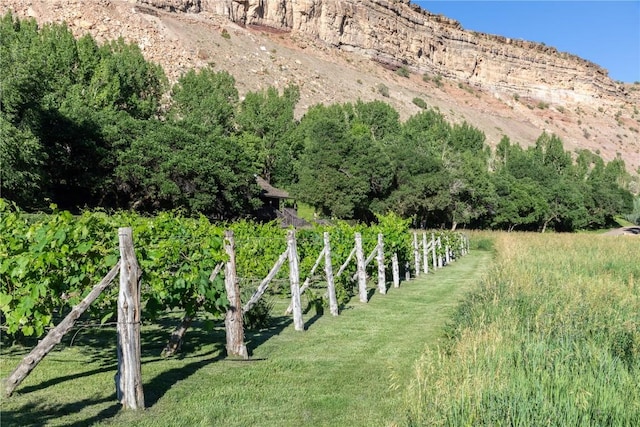 34074 Fruitland Mesa Rd, Crawford, CO 81415 - property view of mountains